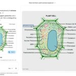 Gemini Interactive Images
