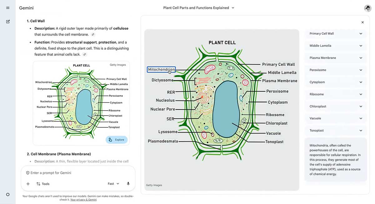 Gemini Interactive Images